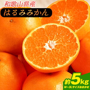yӂ邳Ɣ[Łzs\񁟂݂ yZ@Giza̎RY͂ 5kg (M`3LTCY܂) I̐sIفs2026N2{-4{oׁt a̎R I̐s t[c ʕ  