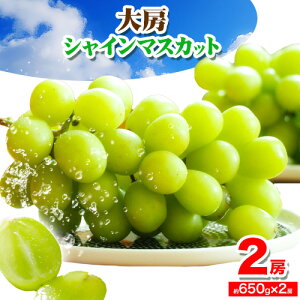 yӂ邳Ɣ[Łzys\za̎RY [ VC}XJbg 2[ (1[ 650g × 2[ )s2025N9{-10{oח\tyzsn悠z I̐s I a̎R I̐