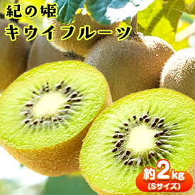 【ふるさと納税】【先行予約】和歌山県産 紀の姫 キウイフルーツ 約 2kg Sサイズ 秀品 紀の川市厳選館《12月上旬-2026年2月上旬頃出荷》 和歌山県 紀の川市 果物 フルーツ キウイ