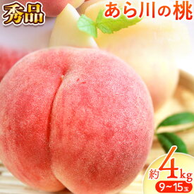 【ふるさと納税】【先行予約】秀品 和歌山のブランド桃「あら川の桃」約4kg 9〜15玉《2026年6月下旬-7月中旬頃出荷》 紀の川市厳選館 和歌山県 紀の川市 和歌山 紀の川 桃 あら川 白鳳 川中島白桃 なつっこ もも モモ フルーツ
