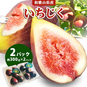yӂ邳Ɣ[Łzys\z (300g×2pbN) FARMER'S FARMERs2025N8{-11{ɏoח\(yj)ta̎R I̐s  C`WN t[c 