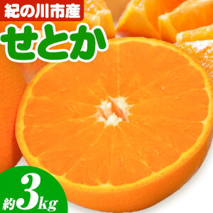 yӂ邳Ɣ[ŁzƂ I̐sY  3kg Ђݔ_s2026N2{-3oׁta̎R I̐s k ݂ t[c ʕ