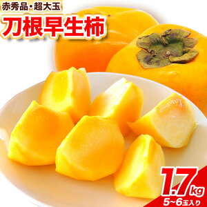 yӂ邳Ɣ[ŁzԏGi  `  1.7kg i5~6ʁj I_lЁs2025N9{-2025N11{oׁt a̎R I̐s ʕ t[c `  ` {