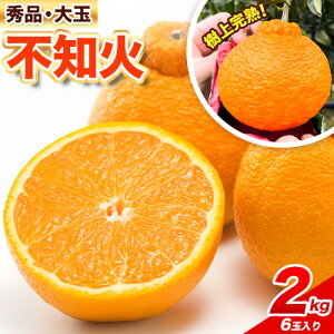yӂ邳Ɣ[Łz̎㊮nIGi  sm  2kg I_lЁs2026N2{-3oׁt a̎R I̐s ʕ t[c k  k { ʂ