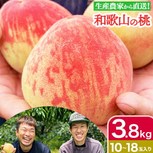 yӂ邳Ɣ[Łzys\za̎RY̓ Iׂe 900g (3ʓ) 1.8kg (5`8ʓ) 3.8kg (10`18ʓ) GREEN JUNCTIONЁs2026N6{-2026N8oׁta̎R I̐s