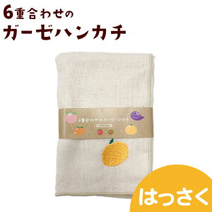 �y�ӂ邳�Ɣ[�Łz6�d���킹�̃K�[�[�n���J�` �I�̐�s�����s30���ȓ��ɏo�ח\��(�y���j����)�t �a�̎R�� �I�̐�s ��100% �n���J�` �K�[�[ �h�J �����|�C���g �M�t�g ��������