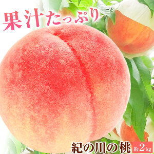 yӂ邳Ɣ[Łzys\zIBI̐̓  2kg 炬t[cUЁs2026N6{-8{oׁta̎R I̐s    ʕ t[c