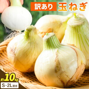 yӂ邳Ɣ[Łzys\z_Ƃ񒼑I 󂠂 ʂ˂ S`2LTCY Iׂ 4kg 10kg s2026N4{-8{oׁta̎R I̐s  ܂˂