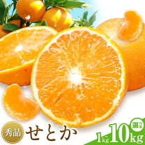 楽天市場】せとか 10kgの通販