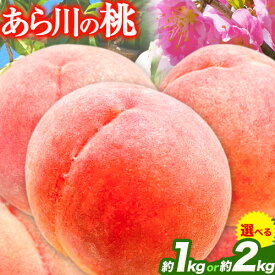 【ふるさと納税】あら川の桃 約1kg 約2kg 光農園《2026年6月末-7月中旬頃より出荷予定》 和歌山県 紀の川市 桃 もも モモ 日川白鳳　八幡白鳳　白鳳　清水　川中島 あら川の桃 送料無料