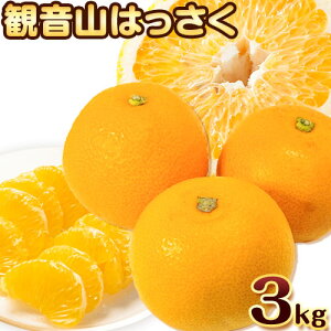 yӂ邳Ɣ[ŁzωR͂ 3kg (9-12ʑO) LЊs2026N1{-3{oׁta̎R I̐s t[c ʕ k ͂ 