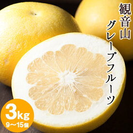 【ふるさと納税】観音山グレープフルーツ 3kg 有限会社柑香園《2027年1月上旬-2月下旬頃出荷》和歌山県 紀の川市 フルーツ 果物 柑橘 グレープフルーツサンタマリア