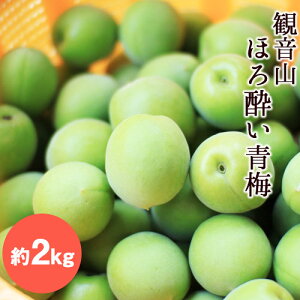 yӂ邳Ɣ[Łzys\zωRق됌~ 2kg LЊ s2026N6{-6{oׁt a̎R I̐s ~