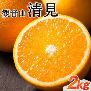 yӂ邳Ɣ[ŁzωR 2kg (10-14ʑO) LЊs2026N2{-3{oׁta̎R I̐s t[c ʕ k ݂ IW 