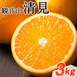 yӂ邳Ɣ[ŁzωR 3kg (15-21ʑO) LЊs2026N2{-3{oׁta̎R I̐s t[c ʕ k ݂ IW