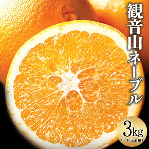 yӂ邳Ɣ[ŁzωRl[u 3kg (9-18ʑO) LЊys\zs2026N2{-3{oׁta̎R I̐s t[c ʕ k l[u