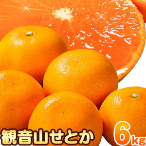 yӂ邳Ɣ[ŁzωRƂ Iׂ e 2kg 4kg 5kg 6kg LЊs2026N2{-3{oׁta̎R I̐s t[c ʕ k Ƃ