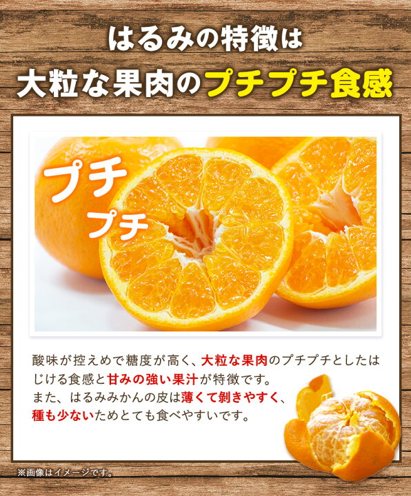 ◇先行予約◇大人気の春柑橘!和歌山県有田郡内産 はるみ 4kg(赤秀) minimundo.com.br