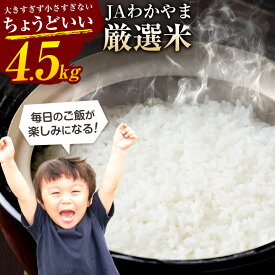 【ふるさと納税】 毎日のご飯が楽しみになる! 米 白米 4.5kg JAわかやま厳選米 《年内発送》 JAわかやま紀の里地域本部 和歌山県 紀の川市 送料無料 国産 こめ お米