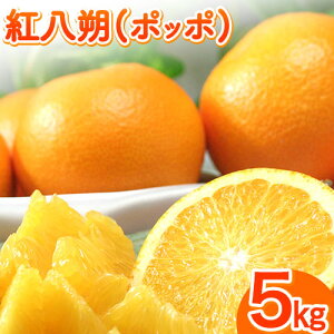 yӂ邳Ɣ[Łzg(|b|) 5kg(3L-L) JA킩 I̗n{ s2026N3{-3oׁt a̎R I̐s ʕ t[c k ͂