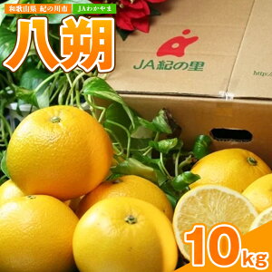【ふるさと納税】八朔約10kg(3L-Lサイズ) JAわかやま 紀の里地域本部 《2026年1月上旬-3月末頃出荷》 和歌山県 紀の川市 果物 フルーツ 柑橘 はっさく