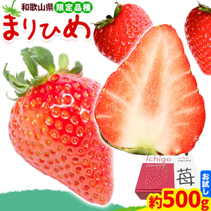 楽天市場】【ふるさと納税】【2026年出荷】いちご まりひめ 約500g  