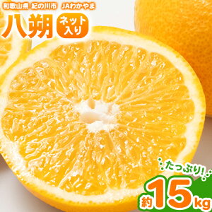 yӂ邳Ɣ[Łz lbg 15kg 3L-LTCY JA킩 I̗n{ ys\zs2026N1{-3oׁt a̎R I̐s ʕ t[c k ͂