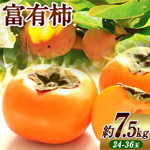 �y�ӂ邳�Ɣ[�Łz�y��s�\��z �x�L�` �I�ׂ� ���e�� ��2kg 4-9�� ��4kg 8-19�� ��7.5kg 24-36�� �ݕ��ʊ�����Ёs10����{-11�����{���o�ׁt �a�̎R�� �I�̐�s �` �J�L ���� �ʕ� �t���[�c ������