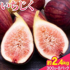 yӂ邳Ɣ[Łz Iׂ e 600g 300g × 2pbN 1.2kg 300g × 4pbN 2.4kg 300g × 8pbN ݕʊЁs7{-11oׁt a̎R I̐s C`WN  Yn 