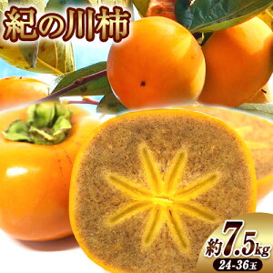 yӂ邳Ɣ[ŁzI̐` Iׂ e 2kg 4-9 4kg 8-19 7.5kg 24-36 ݕʊЁs10{-12{oׁt a̎R I̐s ` JL  S}` ʕ t[c 