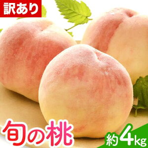 �y�ӂ邳�Ɣ[�Łz�󂠂� �a�̎R�̓� ��4kg �ݕ��ʊ�����Ёs2026�N6�����{-8�������o�ׁt �a�̎R�� �I�̐�s �� ���ƒ�p ���� ���� �ʕ� �t���[�c