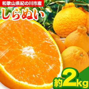 �y�ӂ邳�Ɣ[�Łz�y��s�\��z�a�̎R���I�̐�s�Y �s�m�� ��2kg �ݕ��ʊ�����Ёs2026�N2����{-4�����{���o�ׁt �a�̎R�� �I�̐�s ����ʂ� �s�m�� �ʕ� �t���[�c �݂��� ���k 2kg ������