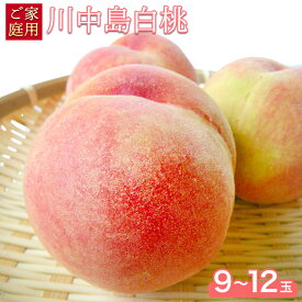 【ふるさと納税】和歌山県紀の川市産 川中島白桃 9-12玉入り≪ご家庭用≫ 株式会社松源《7月下旬-8月上旬頃出荷》和歌山県 紀の川市