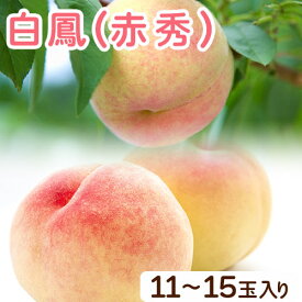 【ふるさと納税】和歌山県紀の川市産 白鳳(赤秀) 11-15玉入り 桃 モモ もも 株式会社松源《2024年6月下旬-7月中旬頃出荷》和歌山県 紀の川市