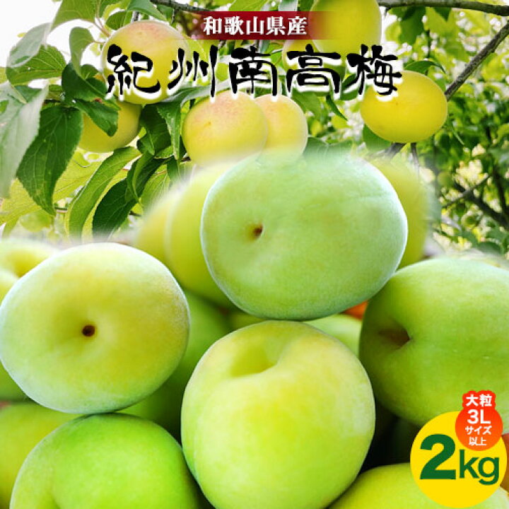 楽天市場】【ふるさと納税】和歌山県産紀州南高梅(青梅)2kg(大粒 