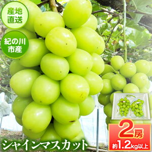 yӂ邳Ɣ[Łz嗱VC}XJbg1.2kg(600gO×2)mnʎys\zs8{-10{oח\ta̎R I̐s