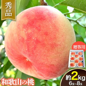yӂ邳Ɣ[Łz yp/lΉz Gi a̎R̓ 2kg (6~8) m&nʎ yzsn悠z s2026N6{-7{oׁta̎R I̐s    { P 씒P 