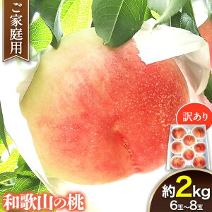 yӂ邳Ɣ[Łz y󂠂z ƒp a̎R̓ 2kg (6~8) m&nʎ yzsn悠zs2026N6{-7{oׁta̎R I̐s    { P 씒P Ȃ 