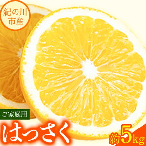 yӂ邳Ɣ[Łzys\z 5kg ƒp mnʎs2026N1{-3{oׁta̎R I̐s ʕ ͂ t[c k 
