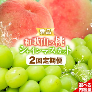 【ふるさと納税】【2回定期便】【贈答用/熨斗非対応】秀品 和歌山の桃 約2kg (6玉~8玉) 大粒 シャインマスカット 約1.2kg または 1.4kg m&n果実園 《2025年6月中旬-10月上旬頃出荷》和歌山県 紀の川