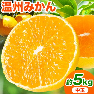 �y�ӂ邳�Ɣ[�Łz�y��s�\��z�a�̎R���Y �ɑ����݂���i����E���j ��5kg m��n�ʎ����s2026�N10�����{-11���������o�ח\��t�a�̎R�� �I�̐�s �ʕ� �t���[�c �ɑ��� �݂��� �~�J�� ���k