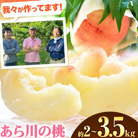 【ふるさと納税】【予約受付】選べる あら川の桃 約2kg 約2.8kg 約3.5kg 室谷青果《2027年6月下旬-7月中旬頃出荷》和歌山県 紀の川市