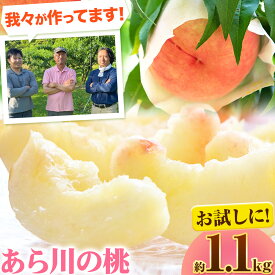 【ふるさと納税】【予約受付】桃 もも あら川の桃 お試し 約1.1kg 3玉入り 室谷青果 《2027年6月下旬-7月中旬頃出荷》 和歌山県 紀の川市 フルーツ 果物 桃 紀の川市産 お取り寄せフルーツ 送料無料