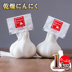 yӂ邳Ɣ[ŁzjjN1kg Cmx[VЁs90ȓɏoח\(yj)ta̎R I̐s