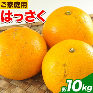 yӂ邳Ɣ[Łzy󂠂/ƒpzI̐씪 Iׂ 4kg{1kg (v5kg) 9kg{1kg (v10kg) Tt@[s2026N1{-3oׁta̎R I̐s ͂ k { t[c ʕ