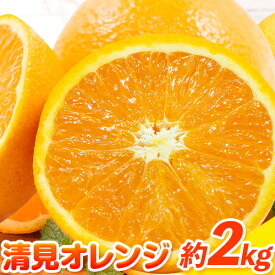 【ふるさと納税】清見オレンジ 2kg ときわオンライン《2025年1月中旬-3月下旬頃出荷》 和歌山県 紀の川市 フルーツ 果物 清見 オレンジ 柑橘 送料無料