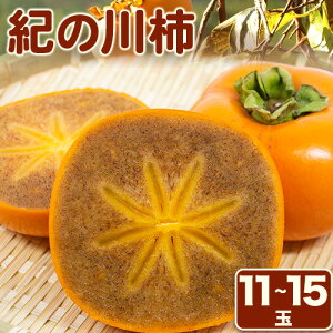 yӂ邳Ɣ[ŁzI̐` 11-15ʓ 4kg ƂICys\zs2025N10{-12{oׁta̎R I̐s j` Ђ炽˂Ȃ