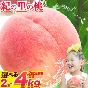 yӂ邳Ɣ[Łzy2026Noוs\zӂʏ`ŌςIÂăW[V[ȓ a̎RY I̗̓ 2kg (6`8) s2026N6{-8{oׁt 2026N s\ I̗