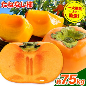 yӂ邳Ɣ[Łz˂Ȃ`i`Ej`j1.5kg ` 7.5kg s2025N9{-11{o(yj)t a̎R os Ȃ` ` ʕ t[c 2L`MTCY JL
