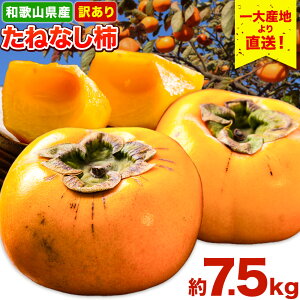 yӂ邳Ɣ[Łza̎RY 󂠂 ˂Ȃ`i`Ej`j7.5kg s2025N9{-11{o(yj)t a̎R os 󂠂 ƒp Ȃ` ` ʕ t[c 